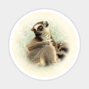 Lemur Magnet